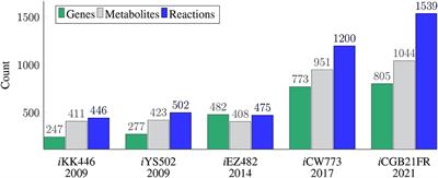 High-Quality Genome-Scale Reconstruction of Corynebacterium glutamicum ATCC 13032